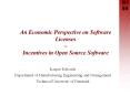 An%20Economic%20Perspective%20on%20Software%20Licenses%20 PowerPoint PPT Presentation
