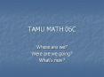 TAMU MATH 06C PowerPoint PPT Presentation