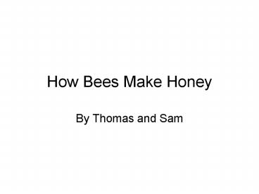 How Bees Make Honey