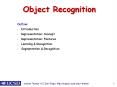 Object Recognition PowerPoint PPT Presentation