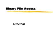 Binary File Access
