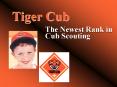 Tiger Cub PowerPoint PPT Presentation