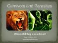 Carnivors and Parasites PowerPoint PPT Presentation