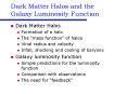 Dark Matter Halos and the Galaxy Luminosity Function PowerPoint PPT Presentation