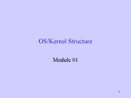 OS/Kernel Structure