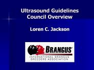 Ultrasound%20Guidelines%20Council%20Overview