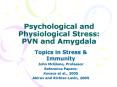 Psychological and Physiological Stress: PVN and Amygdala PowerPoint PPT Presentation