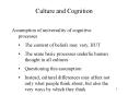Culture and Cognition PowerPoint PPT Presentation
