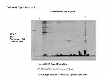 11cm, pH710 Biorad ReadyStrip