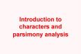 Introduction to characters and parsimony analysis PowerPoint PPT Presentation