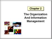 The Organization And Information Management