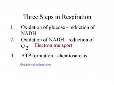 Oxidative phosphorylation