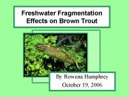 Freshwater Fragmentation Effects on Brown Trout