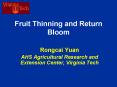 Fruit Thinning and Return Bloom PowerPoint PPT Presentation