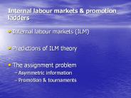 Internal labour markets