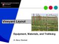 Vineyard Layout PowerPoint PPT Presentation