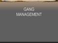 GANG PowerPoint PPT Presentation