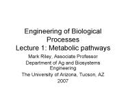 Engineering of Biological Processes Lecture 1: Metabolic pathways