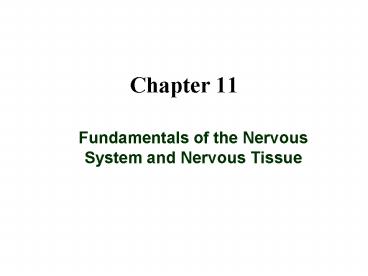 Fundamentals of the Nervous System and Nervous Tissue