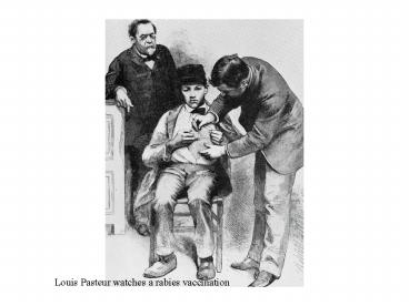 Louis Pasteur watches a rabies vaccination