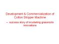 Development PowerPoint PPT Presentation
