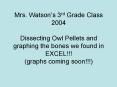 Mrs' Watsons 3rd Grade Class 2004 Dissecting Owl Pellets and graphing the bones we found in EXCEL gr PowerPoint PPT Presentation
