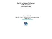 Multifractals and Wavelets in Turbulence Cargese 2004