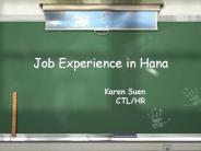 Job Experience in Hana