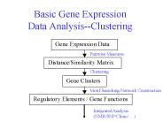 Basic Gene Expression Data AnalysisClustering