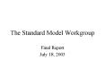 The Standard Model Workgroup PowerPoint PPT Presentation