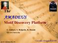 The AMADEUS Motif Discovery Platform PowerPoint PPT Presentation