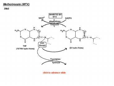 presentation player overlay