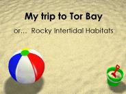 My trip to Tor Bay or