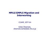 MPLS/GMPLS Migration and Interworking