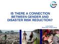 IS THERE A CONNECTION BETWEEN GENDER AND DISASTER RISK REDUCTION PowerPoint PPT Presentation