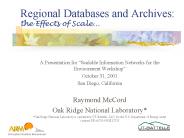 Regional Databases and Archives: the Effects of Scale