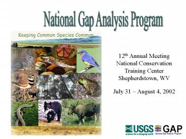 presentation player overlay