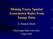 Mining%20Fuzzy%20Spatial%20Association%20Rules%20from%20Image%20Data