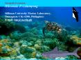 Sustainable Ecotourism PowerPoint PPT Presentation