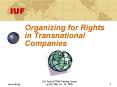 Organizing for Rights in Transnational Companies PowerPoint PPT Presentation