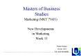 Masters of Business Studies PowerPoint PPT Presentation