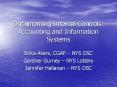 Documenting Internal Controls: Accounting and Information Systems PowerPoint PPT Presentation