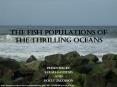 The fish populations of the thrilling oceans PowerPoint PPT Presentation