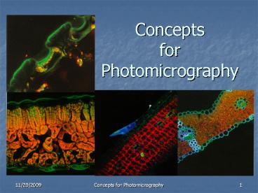 Concepts for Photomicrography