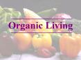 Organic Living PowerPoint PPT Presentation