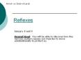 Reflexes PowerPoint PPT Presentation