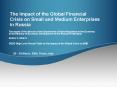 The Impact of the Global Financial Crisis on Small and Medium Enterprises in Russia