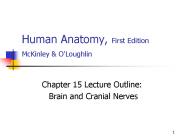 Human Anatomy, First Edition McKinley