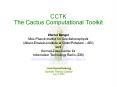 CCTK The Cactus Computational Toolkit PowerPoint PPT Presentation