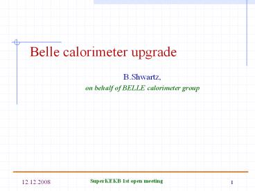 Belle calorimeter upgrade